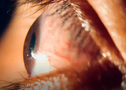 banner módulo órbita